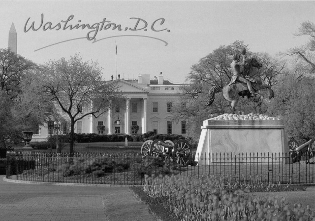 12 noiembrie 1925, Washington.